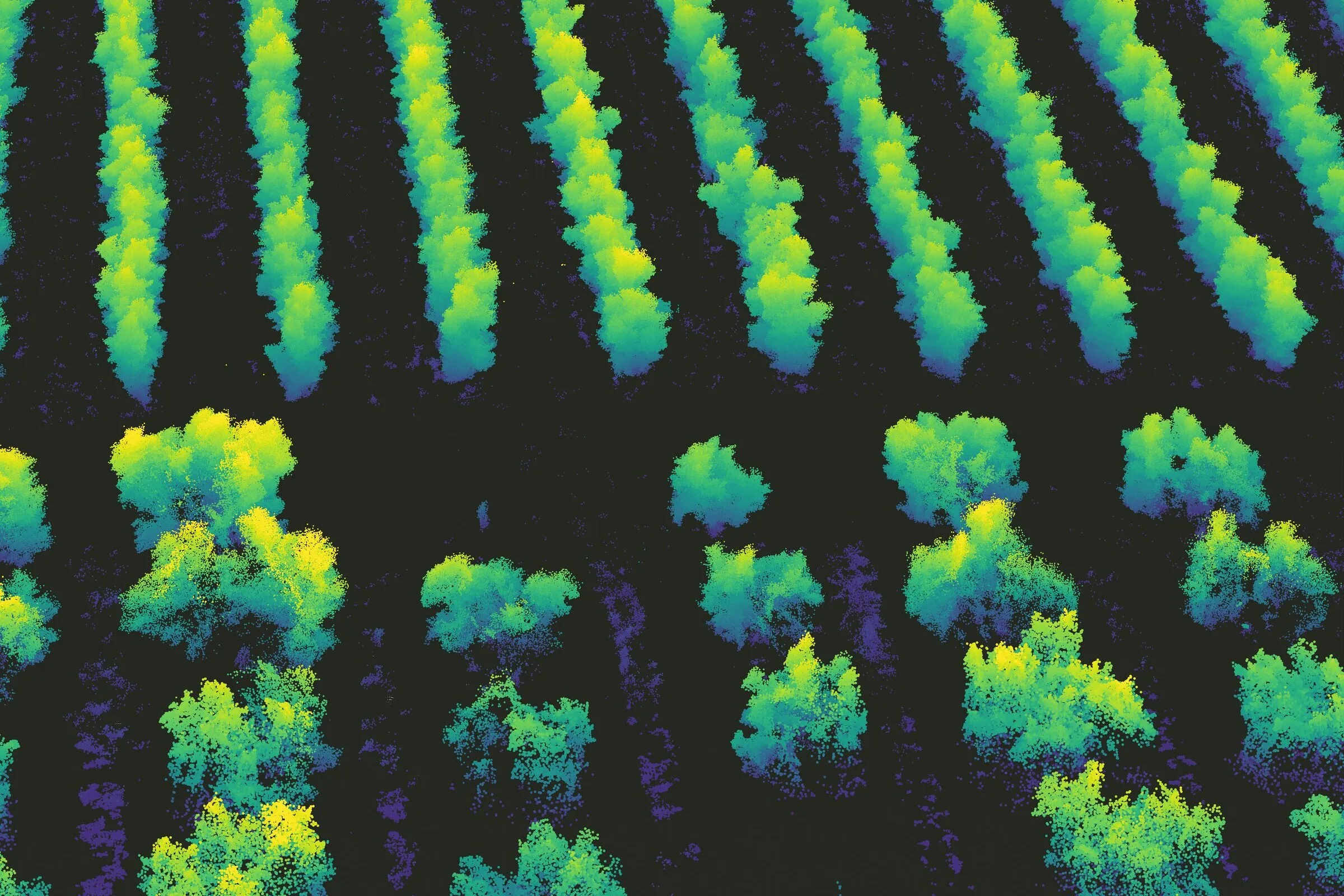 Nube de puntos LiDAR de una plantación vista desde el aire, con los árboles coloreados por altura.